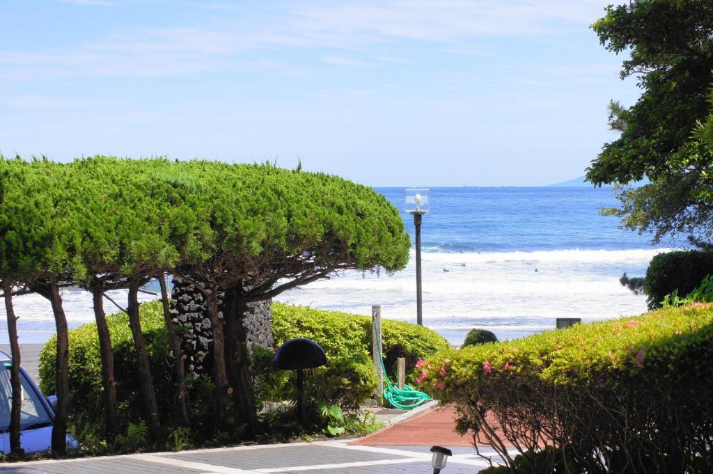 Imaiso Kawazu Quarto foto